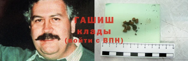 сатива Беслан