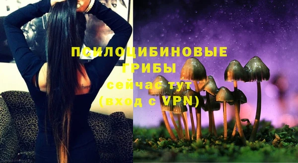 MESCALINE Няндома