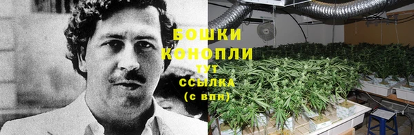 ПСИЛОЦИБИНОВЫЕ ГРИБЫ Нязепетровск