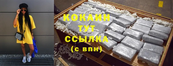 СК Бикин