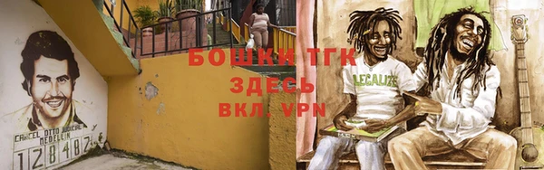 ПСИЛОЦИБИНОВЫЕ ГРИБЫ Нязепетровск